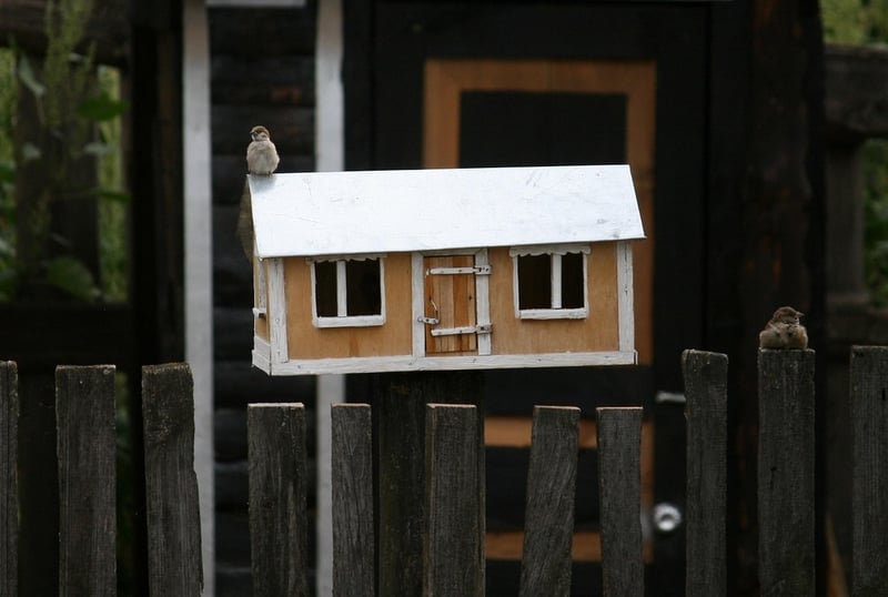 Plastic Bottle Bird Feeder